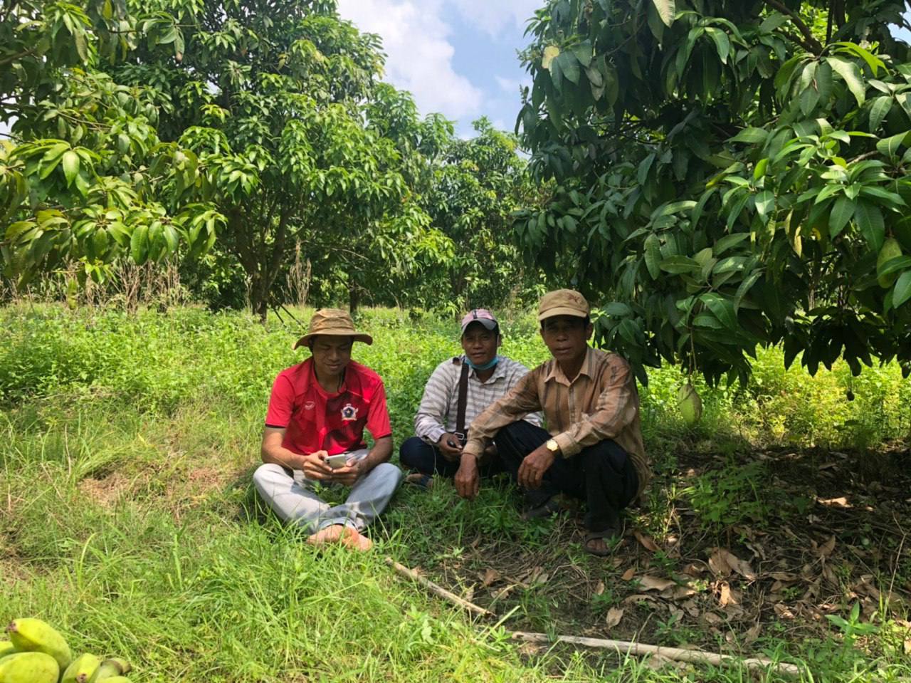 Glorá Mango Lip Balm